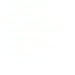 Website Home Page About Me Page Artist or Author Bio Product descriptions Landing pages Complete Website Copy Blog posts Book writing 
